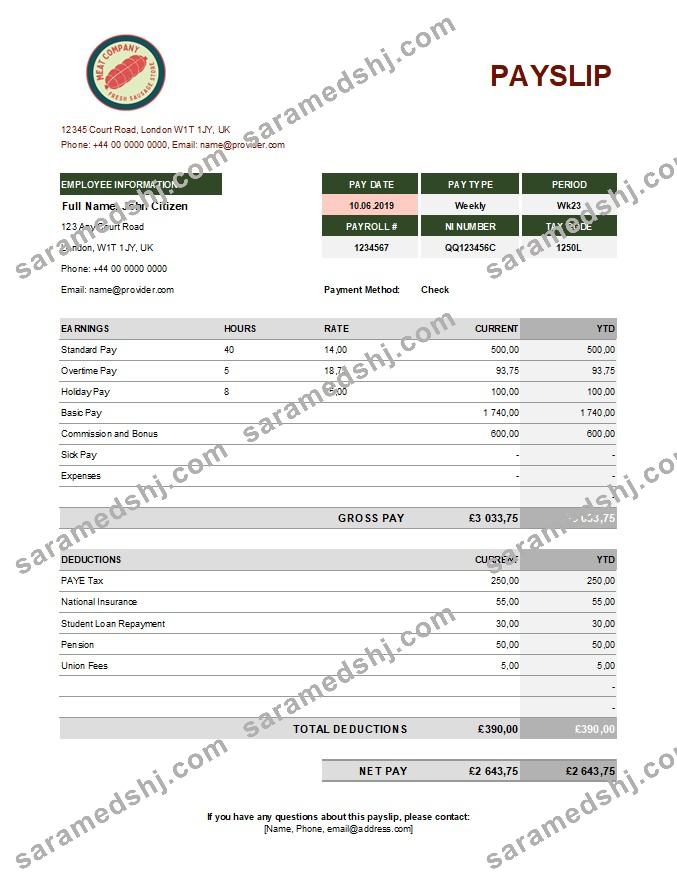 food meat company earning statement in Excel and PDF formats